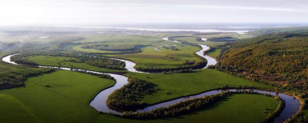 Поволзькі селекціонери в 1928 р обзавелися стадом в 1200 голів і зайнялися «шліфуванням» породи