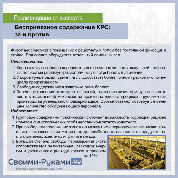 Безприв'язне утримання ВРХ - за і проти