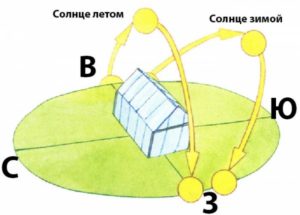 як розташувати теплицю на ділянці по сторонах світу