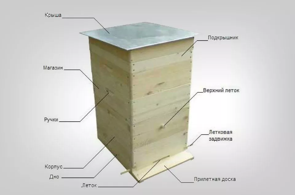 Вулик Дадана: плюси і мінуси, креслення, виготовлення своїми руками