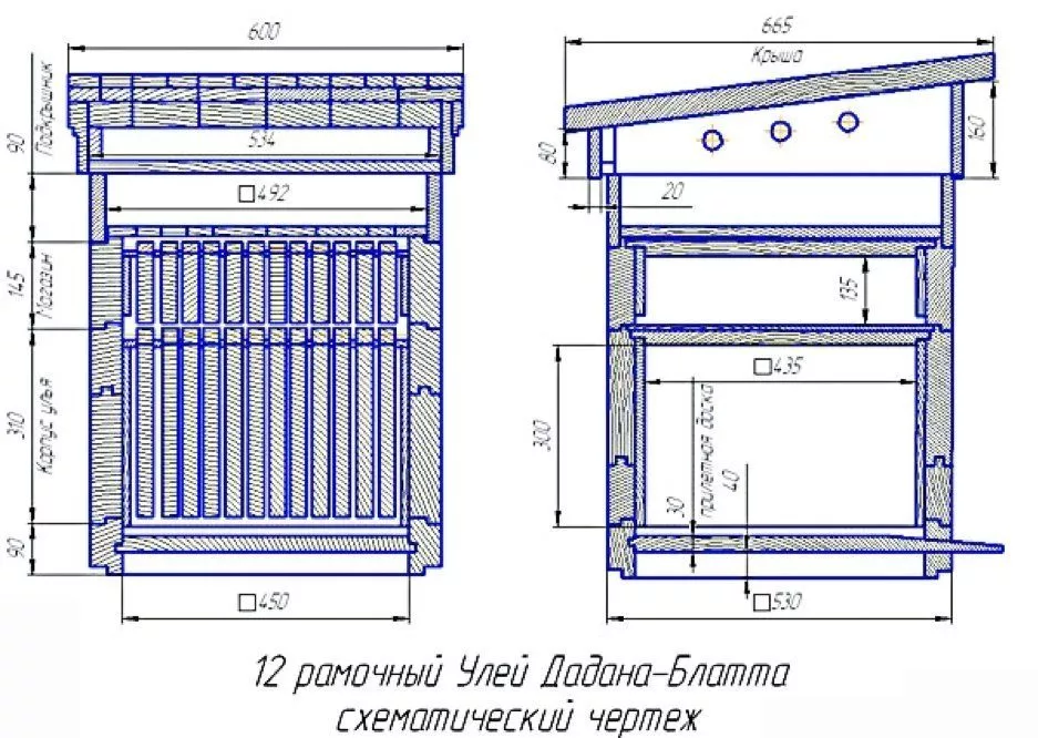 Вулик Дадана: плюси і мінуси, креслення, виготовлення своїми руками