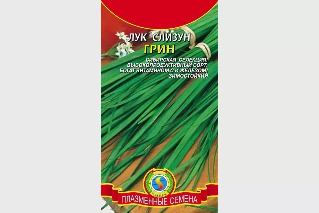 Цибуля-слизун: опис сорту, посадка і догляд, фото, збирання та зберігання