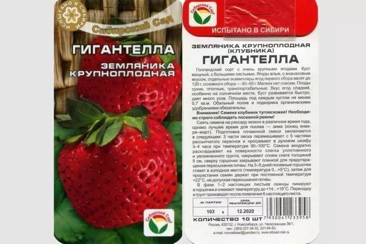 Як виростити полуницю з насіння: інструкція, вибір сорту, строки посіву, ґрунт, полив і підживлення