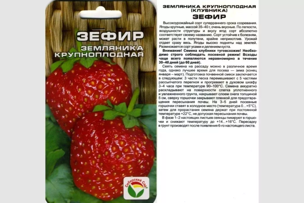 Як виростити полуницю з насіння: інструкція, вибір сорту, строки посіву, ґрунт, полив і підживлення